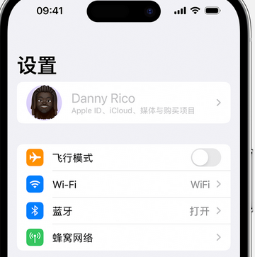 天心appleID维修服务iPhone设置中Apple ID显示为灰色无法使用 