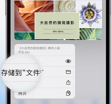 天心apple维修中心分享iPhone文件应用中存储和找到下载文件