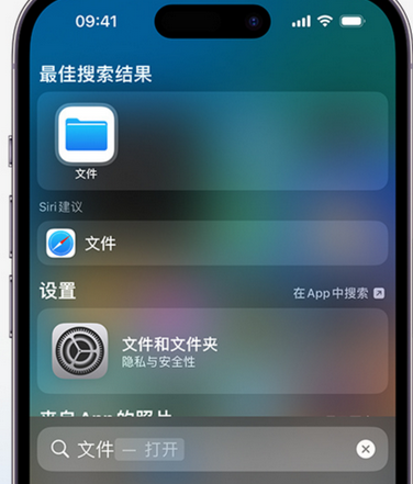 天心apple维修中心分享iPhone文件应用中存储和找到下载文件 