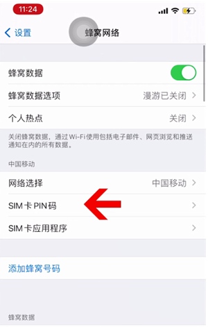 天心苹果14维修网分享如何给iPhone14的SIM卡设置密码 