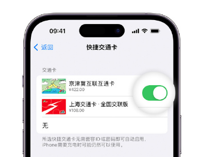 天心apple维修点分享iPhone上更换Apple Pay快捷交通卡手绘卡面 