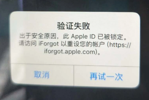 天心iPhone维修分享iPhone上正常登录或使用AppleID怎么办 