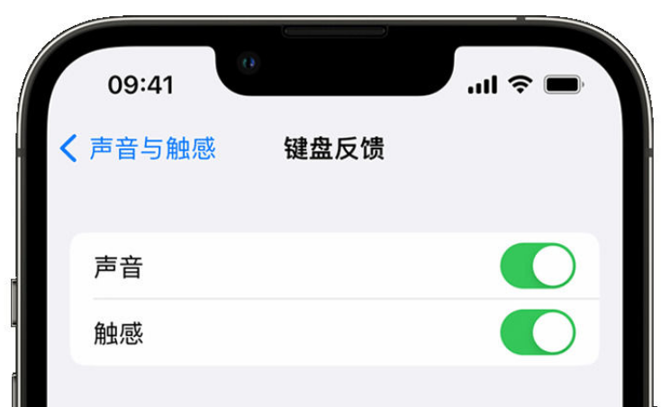 天心苹果手机维修分享iPhone 14触感键盘使用方法 