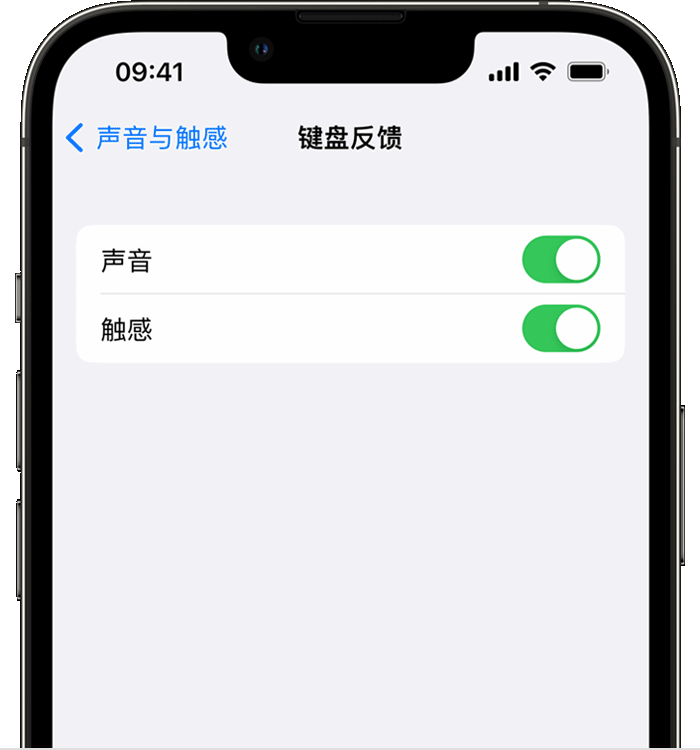 天心苹果14维修店分享如何在 iPhone 14 机型中使用触感键盘 