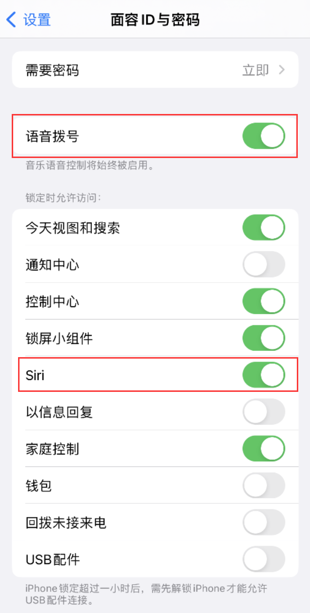 天心苹果维修网点分享不解锁 iPhone 的情况下通过 Siri 拨打电话的方法 