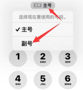 天心苹果14维修店分享iPhone 14 Pro Max使用副卡打电话的方法 