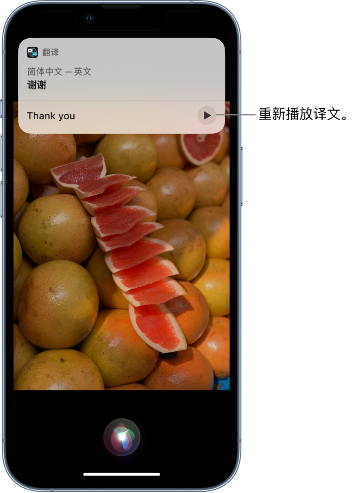 天心苹果14维修分享 iPhone 14 机型中使用 Siri：了解 Siri 能帮你做什么 