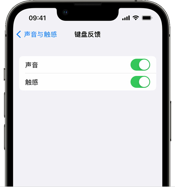 天心苹果14维修分享iPhone 14 系列机型如何开启键盘声音或触感反馈 