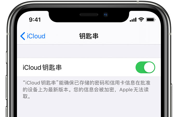 天心苹果手机维修分享在 iPhone 上开启 iCloud 钥匙串之后会储存哪些信息 