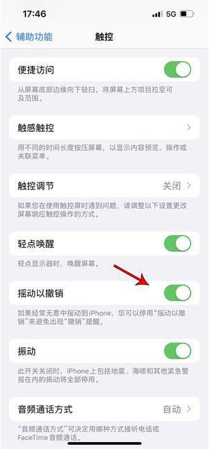 天心苹果手机维修分享iPhone手机如何设置摇一摇删除文字 