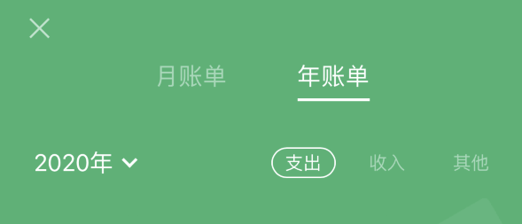 天心苹果手机维修分享如何在 iPhone 上查看支付宝和微信年支出账单 